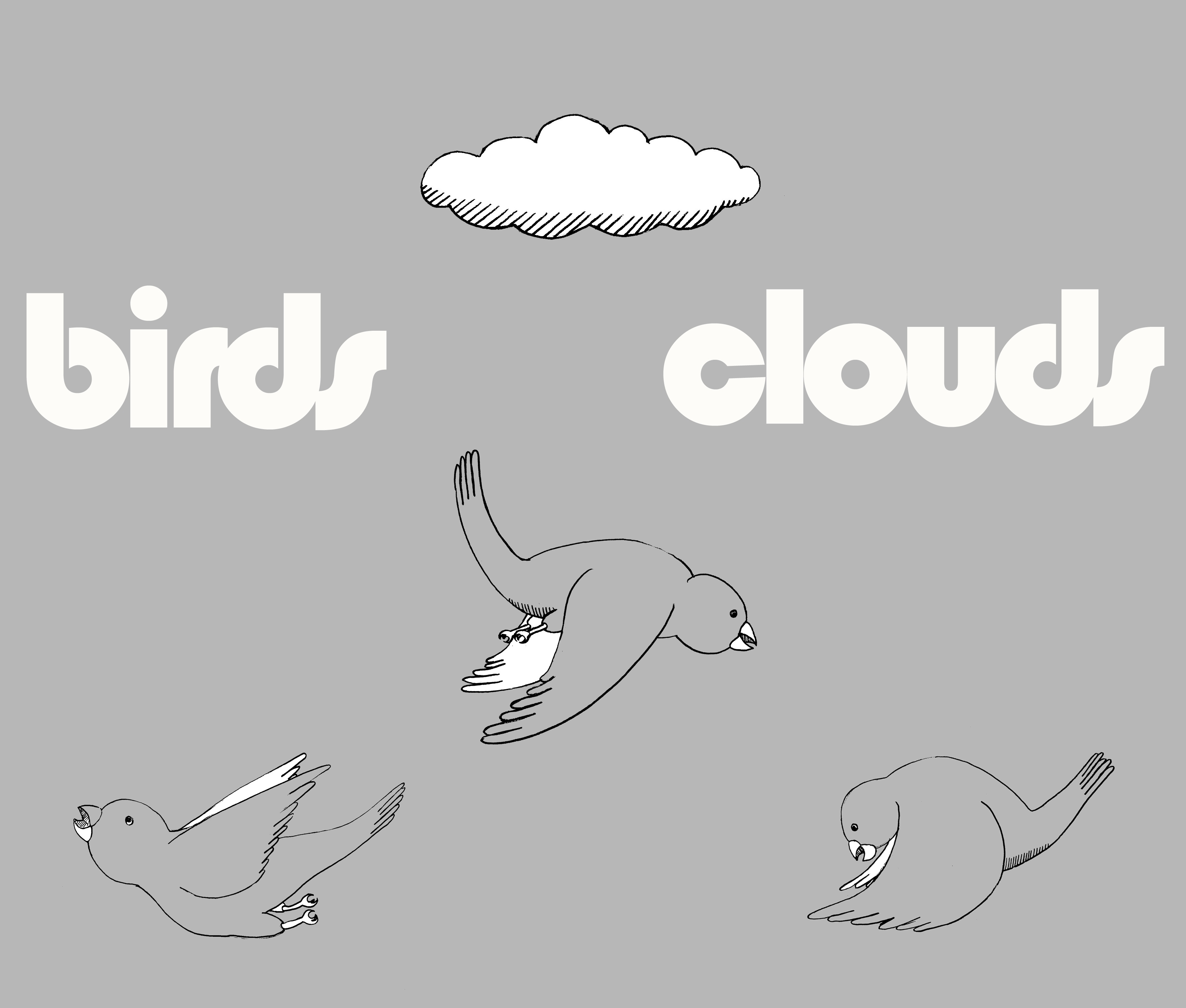 Birds and Clouds album cover